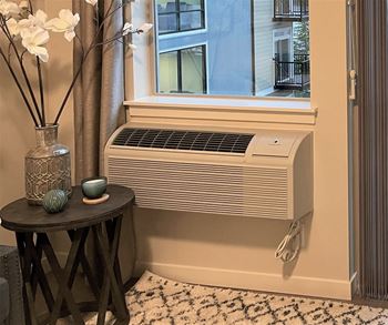 Air Conditioner at Harbor Heights 55+ Community, Olympia, Washington